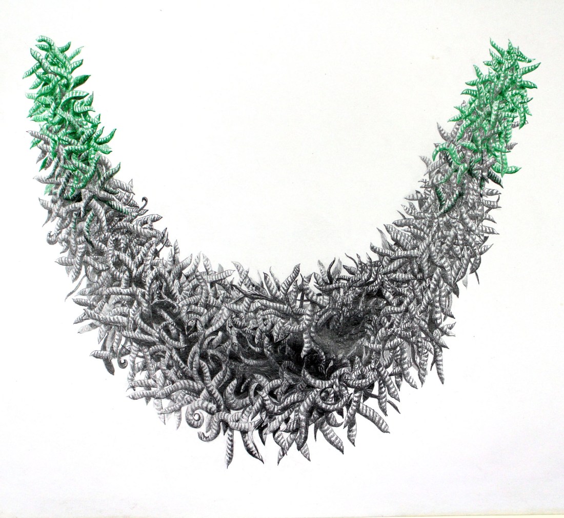 John DeFaro Hunger Hammock 2017 14 by 15 inches graphite on paper