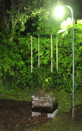 DeFaro John Little River Chamber number 1 night view mixed media with electrical lamp post and bulb copyright 2017 2018 Image 1